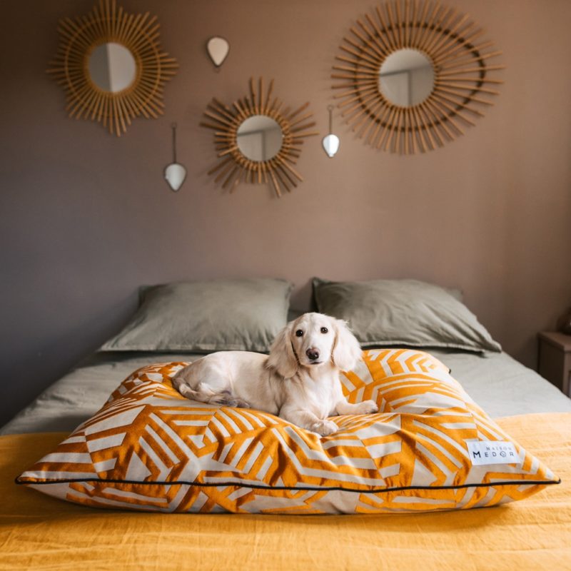 le coussin pour chien made in france indiana de maison médor