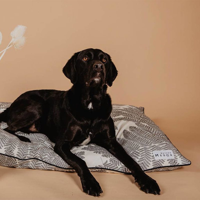 le coussin pour chien design et beau Maison Médor