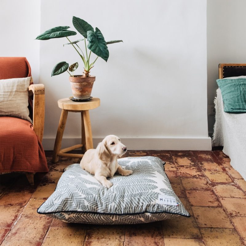 le modèle de coussin chien de maison médor la marque française