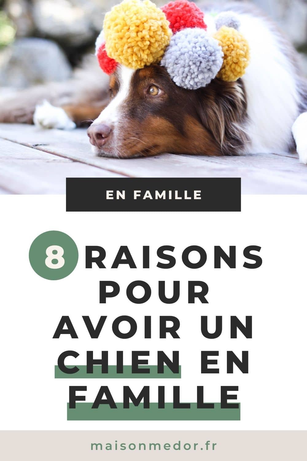 8 raisons pour adopter un chien en famille avec des enfants