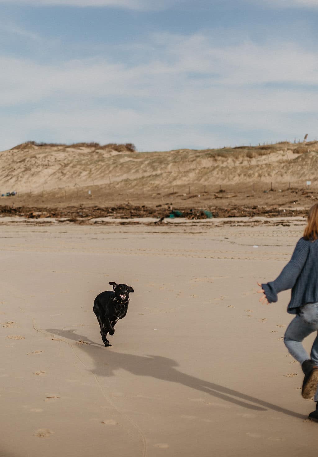 Rox le chien d'An qui court sur la plage pour Maison Medor