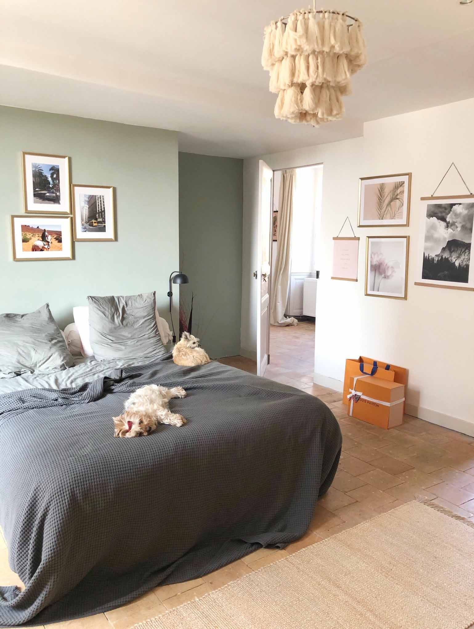 chiens dorment sur le lit la maison de maya pour maison médor