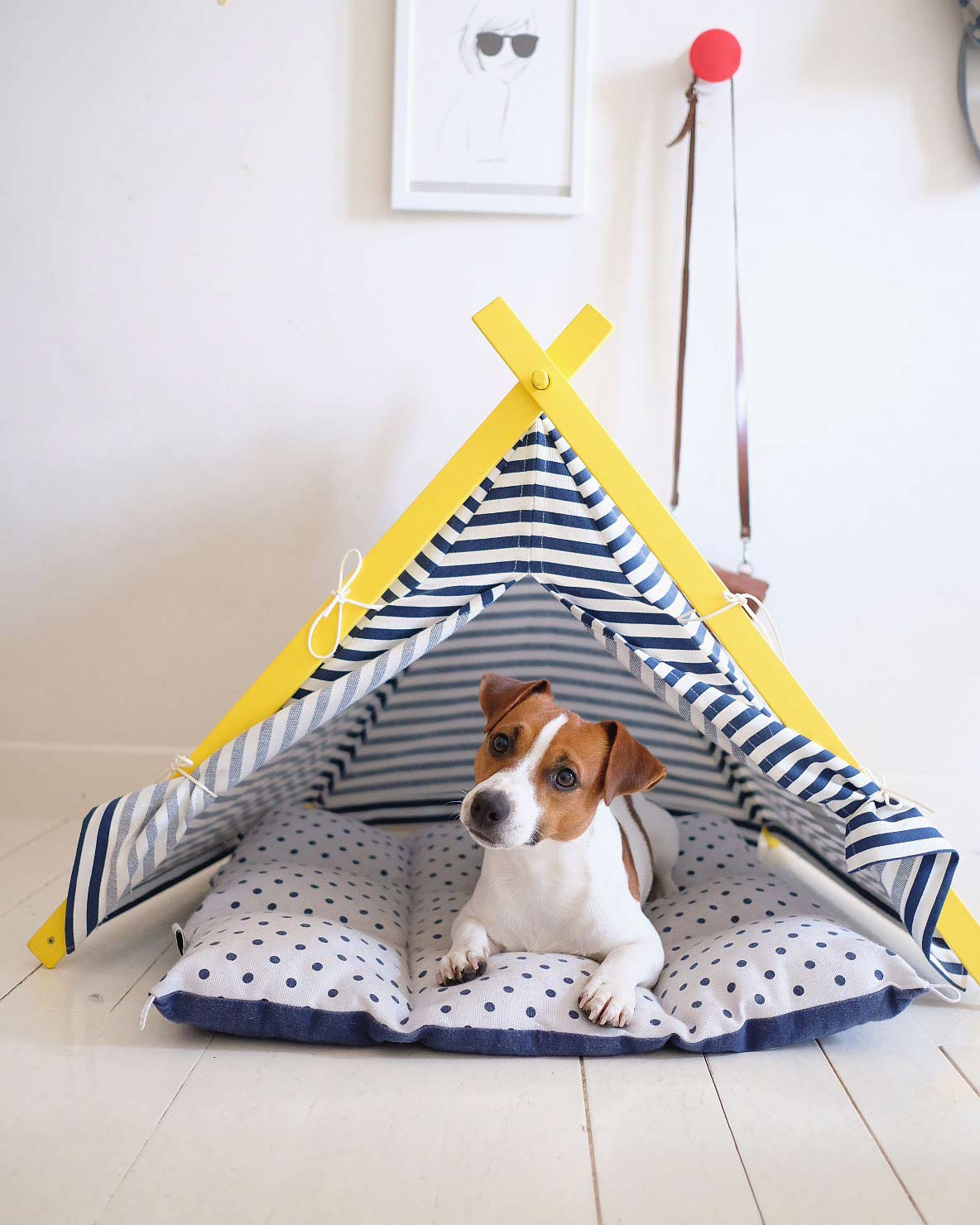 le chien de @ latoupie latoupe napoleon a la maison pour maison médor