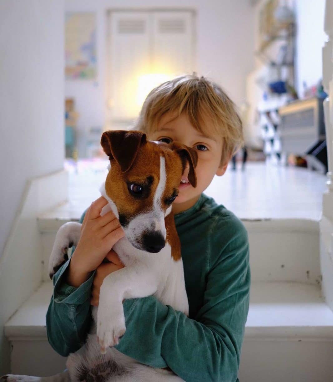 napoléon le chien de latoupie avec un enfant pour maison médor